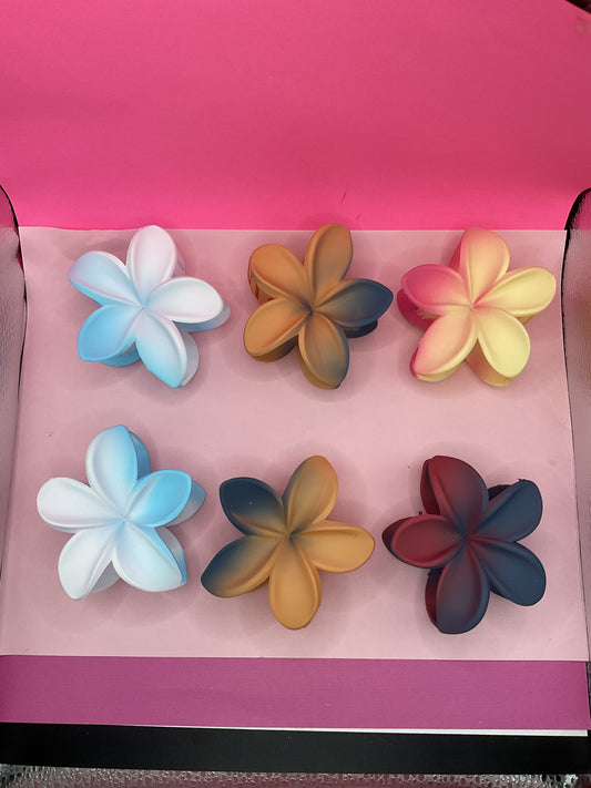 Docena pinzas 5B-3 7Cm