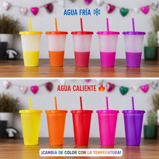 10 Vaso Magico 1L