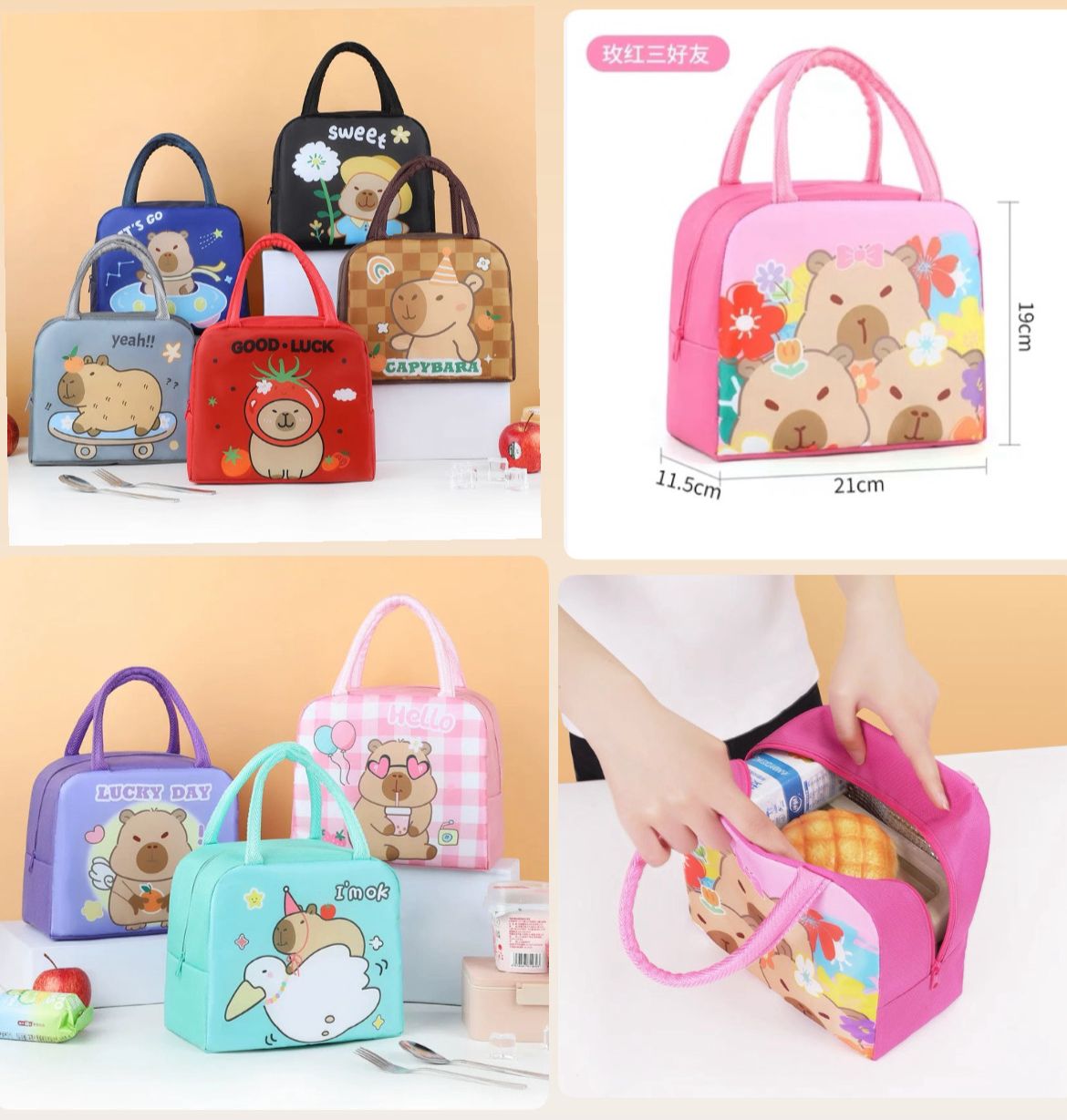 Lonchera térmica surtida $20 /apartir de 10 $19